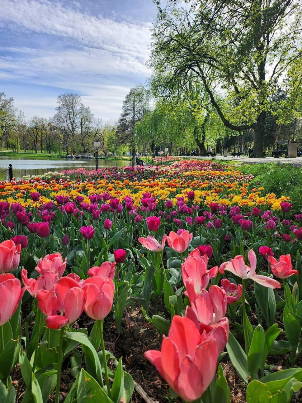 Se deschide Târgul de Paște 2026 de la Craiova. Imagini de poveste cu Parcul „Nicolae Romanescu”, în care va avea loc 1057115