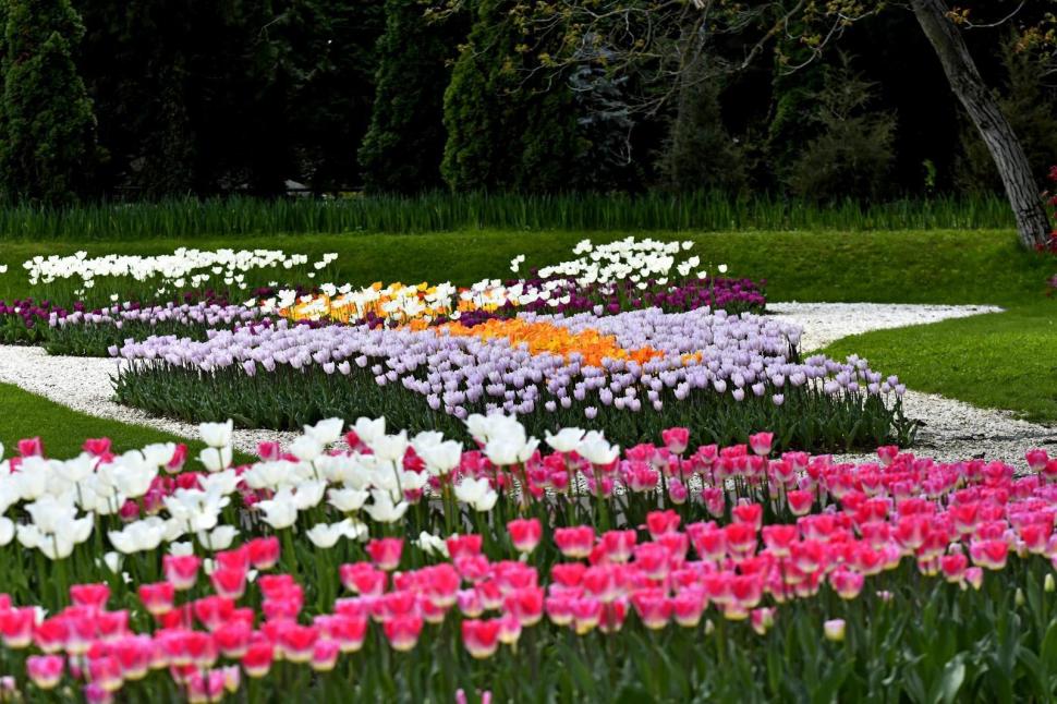 Se deschide Târgul de Paște 2026 de la Craiova. Imagini de poveste cu Parcul „Nicolae Romanescu”, în care va avea loc 1057118