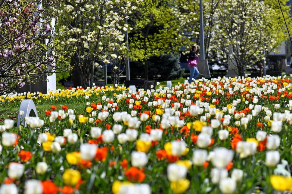 Se deschide Târgul de Paște 2026 de la Craiova. Imagini de poveste cu Parcul „Nicolae Romanescu”, în care va avea loc 1057119