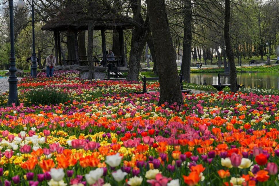 Se deschide Târgul de Paște 2026 de la Craiova. Imagini de poveste cu Parcul „Nicolae Romanescu”, în care va avea loc 1057121