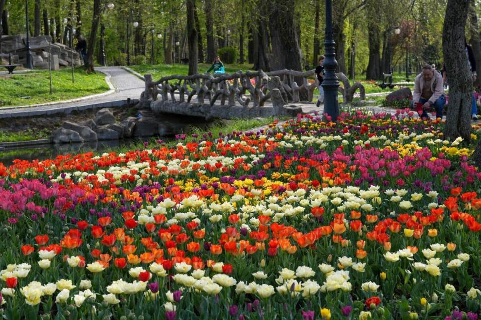 Se deschide Târgul de Paște 2026 de la Craiova. Imagini de poveste cu Parcul „Nicolae Romanescu”, în care va avea loc 1057127