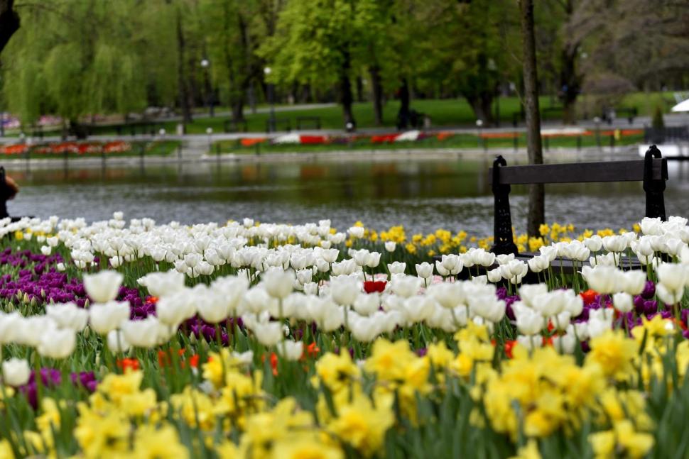 Se deschide Târgul de Paște 2026 de la Craiova. Imagini de poveste cu Parcul „Nicolae Romanescu”, în care va avea loc 1057128