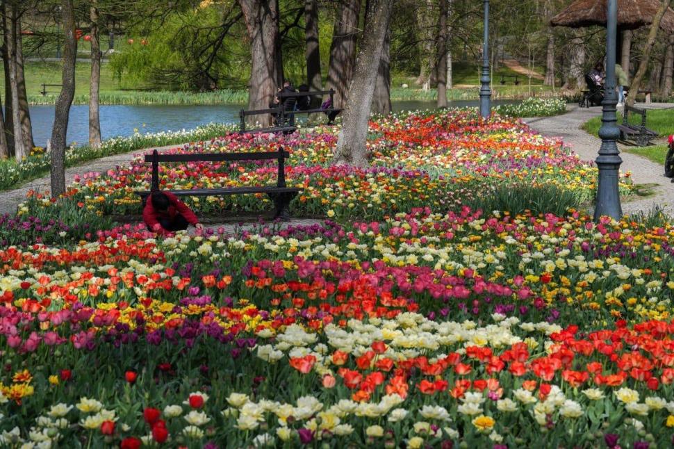 Se deschide Târgul de Paște 2026 de la Craiova. Imagini de poveste cu Parcul „Nicolae Romanescu”, în care va avea loc 1057129