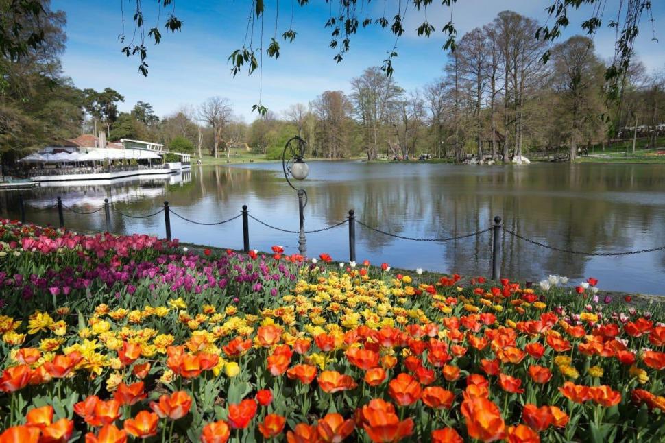 Se deschide Târgul de Paște 2026 de la Craiova. Imagini de poveste cu Parcul „Nicolae Romanescu”, în care va avea loc 1057132