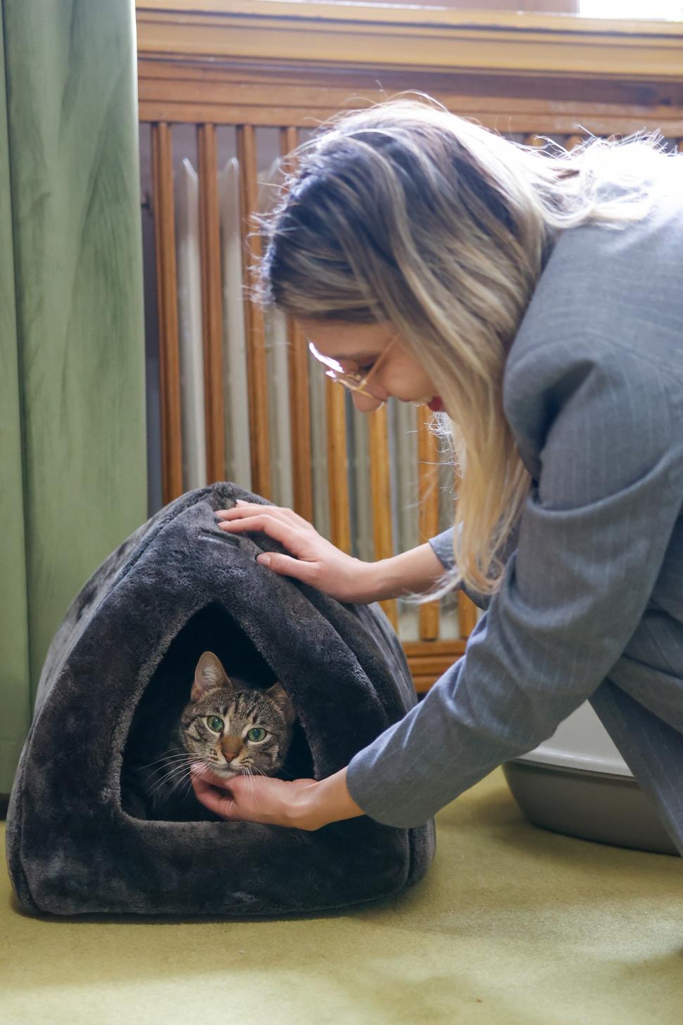 Ministerul Mediului a adoptat o pisică cu o poveste impresionantă. Buzoianu: „Schimbarea este posibilă atunci când cineva se implică” 1057852