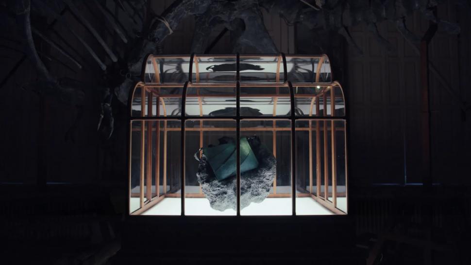 A fost creată o geantă din colagen de T. Rex. Cum arată accesoriul unic, evaluat la peste jumătate de milion de dolari 1058144