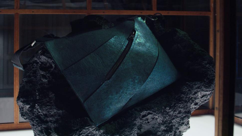 A fost creată o geantă din colagen de T. Rex. Cum arată accesoriul unic, evaluat la peste jumătate de milion de dolari 1058146