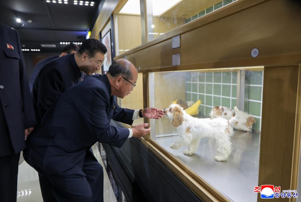 Kim Jong Un mângâie pisoi și cățeluși: Liderul nord-coreean a ajuns viral după ce și-a dus fiica la un magazin de animale de companie 1058182