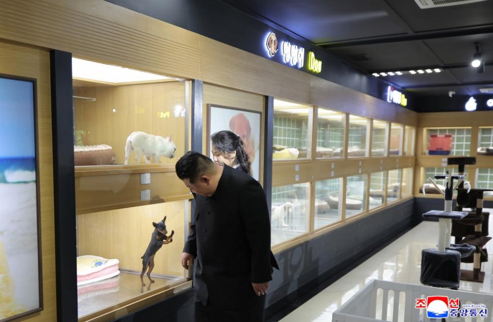Kim Jong Un mângâie pisoi și cățeluși: Liderul nord-coreean a ajuns viral după ce și-a dus fiica la un magazin de animale de companie 1058184