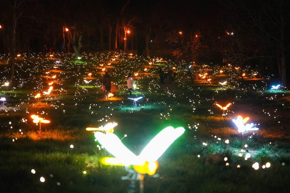 Târgul de Paște 2026 de la Craiova: Deschiderea oficială se amână din cauza ploilor. Imagini de poveste, ce îi așteaptă pe vizitatori 1058313