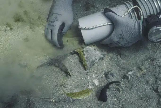 Descoperire istorică după 200 de ani. Un fragment din Partenon a fost recuperat din epava navei folosite de lordul Elgin 1058623