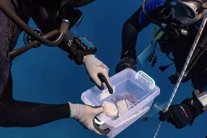 Descoperire istorică după 200 de ani. Un fragment din Partenon a fost recuperat din epava navei folosite de lordul Elgin 1058625