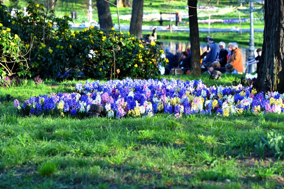 Imagini de poveste de la Târgul de Paște din Craiova. „Este mai spectaculos decât cel de anul trecut” 1058584