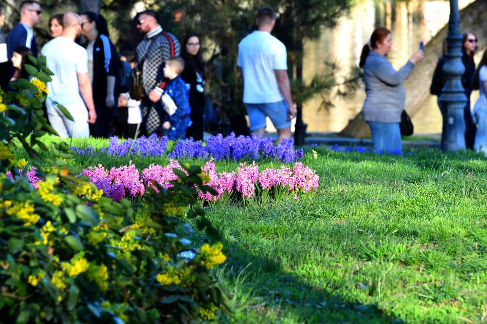 Imagini de poveste de la Târgul de Paște din Craiova. „Este mai spectaculos decât cel de anul trecut” 1058585