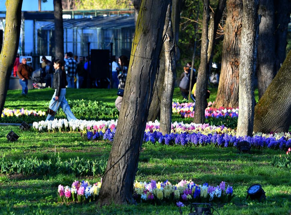Imagini de poveste de la Târgul de Paște din Craiova. „Este mai spectaculos decât cel de anul trecut” 1058587