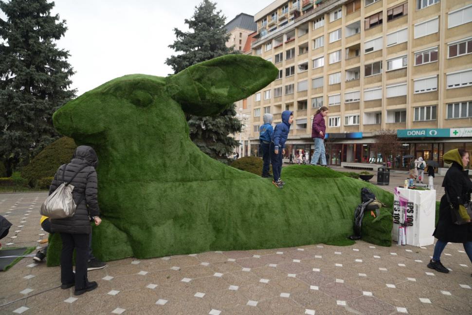 La Timișoara este scandal din cauza „ouălor cu picioare” puse lângă o statuie. Artistul cere să fie mutate, primăria nu vrea 1058985