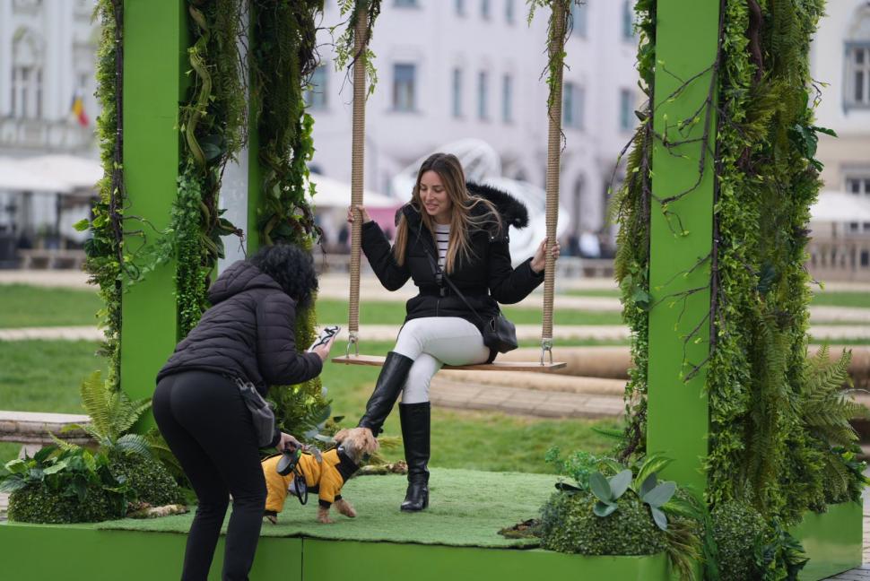 La Timișoara este scandal din cauza „ouălor cu picioare” puse lângă o statuie. Artistul cere să fie mutate, primăria nu vrea 1058986