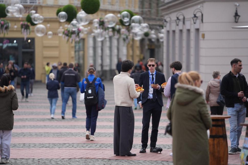 La Timișoara este scandal din cauza „ouălor cu picioare” puse lângă o statuie. Artistul cere să fie mutate, primăria nu vrea 1058987