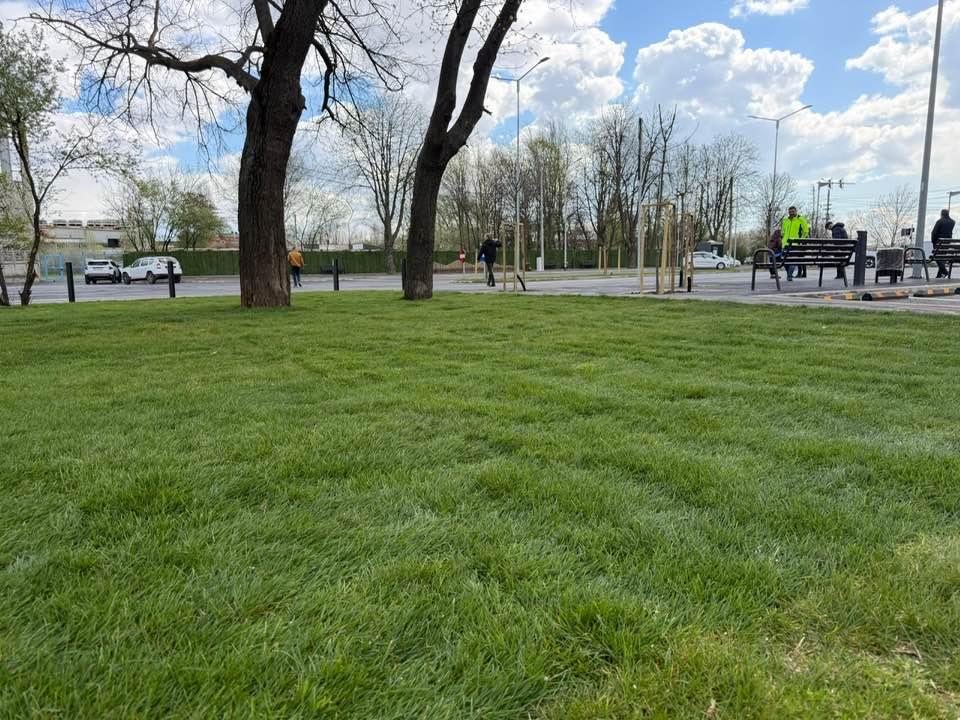 Bucureştiul are o nouă autogară de 4.000 mp. Paul Moldovan: Trafic mai liber și condiții moderne pentru transportatori 1059605