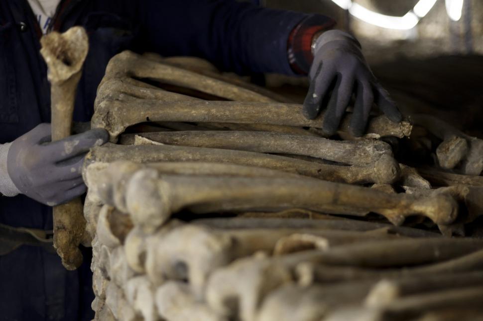 Craniile și oasele a șase milioane de oameni își așteaptă vizitatorii. Au fost redeschise catacombele Parisului 1059618