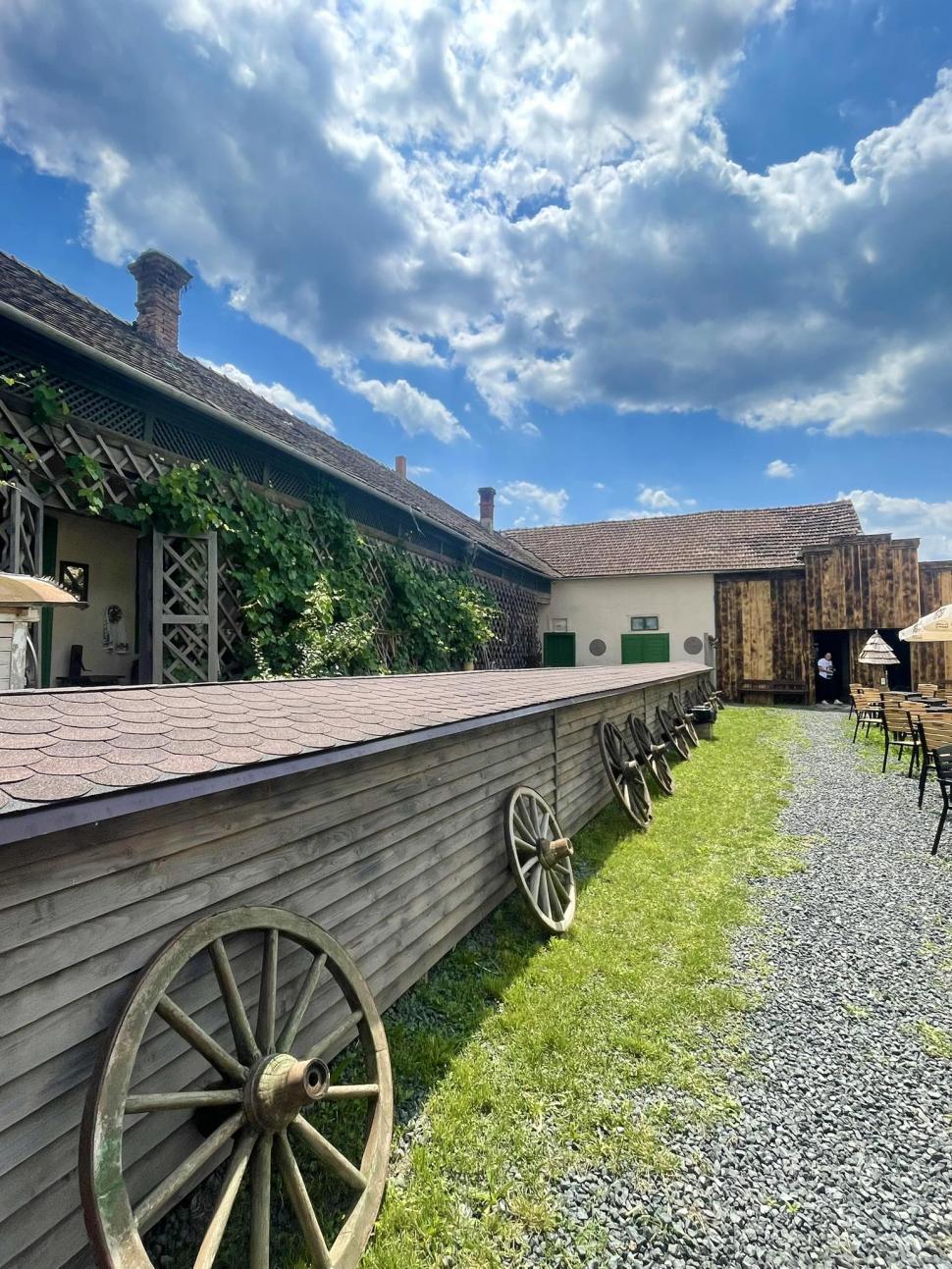 Satul unic în România „construit rotund”: Singurul șvab care mai locuiește în Charlottenburg povestește cum orășenii îi strică forma 1059367