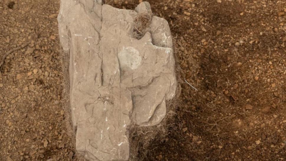 Descoperire arheologică rară, lângă Strâmtoarea Magellan: O monedă de argint confirmă o hartă veche a unei colonii pierdute 1059833