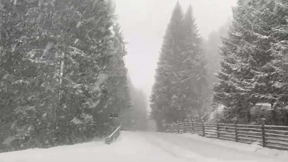 Dimineață cu temperaturi de iarnă și ninsori, înainte de Paște: -6°C la Păltiniș, -5 la Sinaia. Unde au fost -12°C în toiul primăverii 1059662