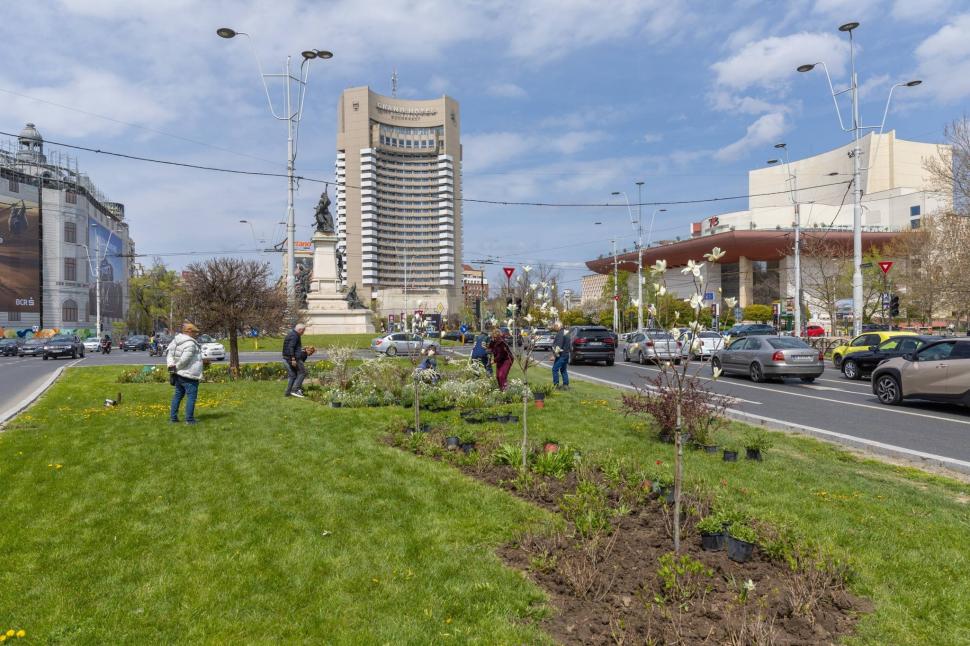 Imagini cu zona verde de la Kilometrul 0 al Bucureștiului, după ce Primăria a plantat 200 de flori. "Vedetele vor fi cele 3 magnolii" 1060740