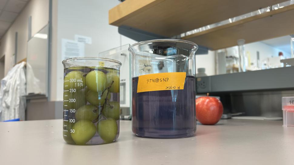 O nouă soluție naturală de spălare a fructelor elimină 94% din pesticide, iar strugurii rămân proaspeți 15 zile la temperatura camerei 1060607