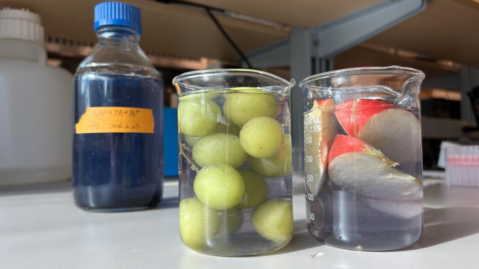 O nouă soluție naturală de spălare a fructelor elimină 94% din pesticide, iar strugurii rămân proaspeți 15 zile la temperatura camerei 1060608