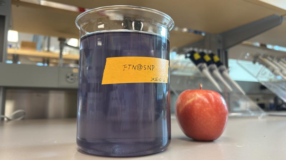 O nouă soluție naturală de spălare a fructelor elimină 94% din pesticide, iar strugurii rămân proaspeți 15 zile la temperatura camerei 1060609