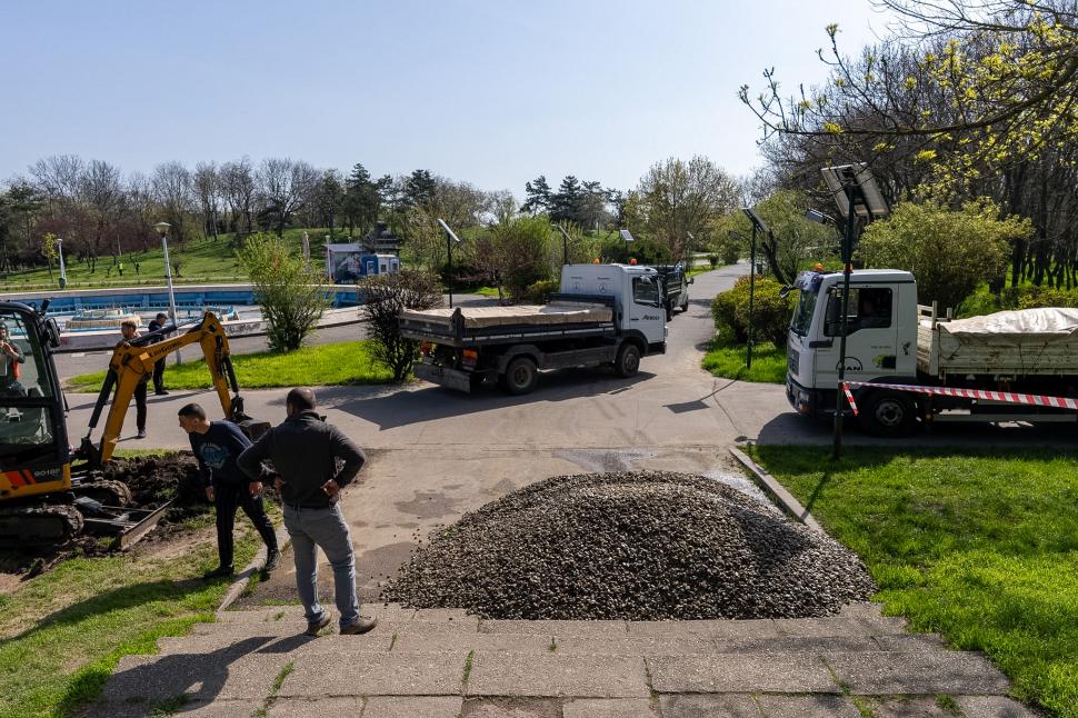 În Parcul Tineretului va fi amenajată prima grădină de ploaie din București. Ce este și cum va funcționa 1061069
