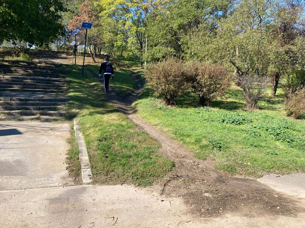 În Parcul Tineretului va fi amenajată prima grădină de ploaie din București. Ce este și cum va funcționa 1061071
