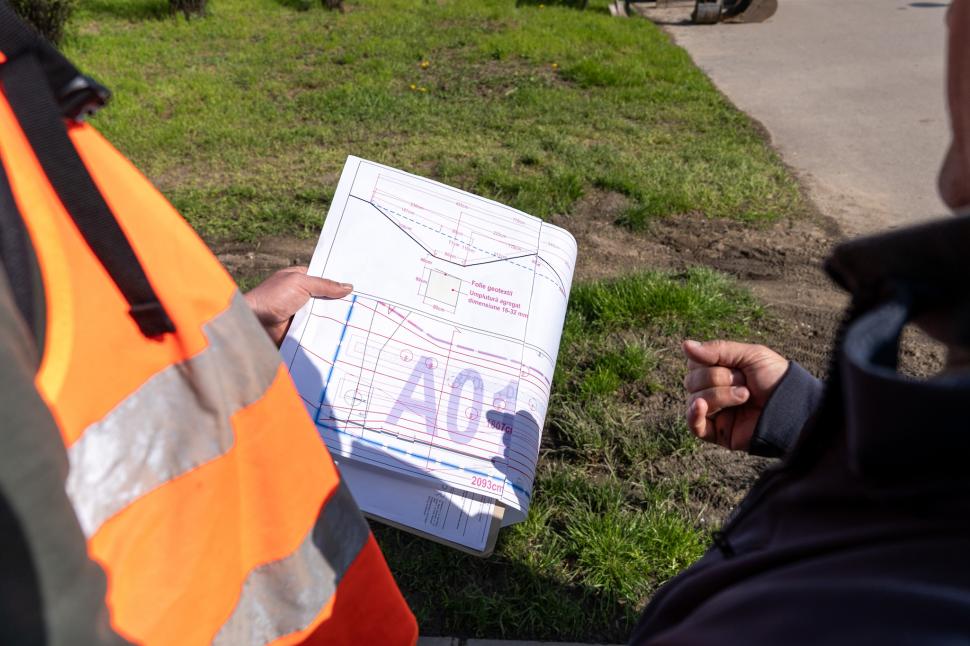 În Parcul Tineretului va fi amenajată prima grădină de ploaie din București. Ce este și cum va funcționa 1061072