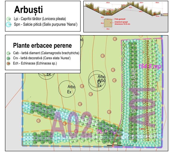 În Parcul Tineretului va fi amenajată prima grădină de ploaie din București. Ce este și cum va funcționa 1061073