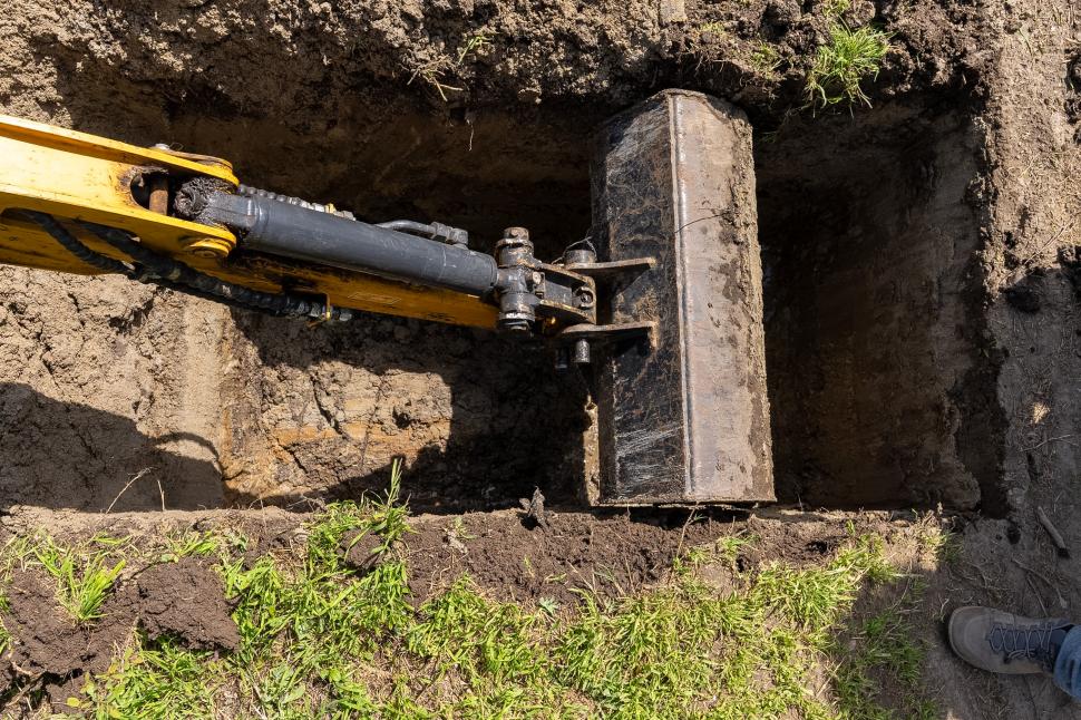 În Parcul Tineretului va fi amenajată prima grădină de ploaie din București. Ce este și cum va funcționa 1061074