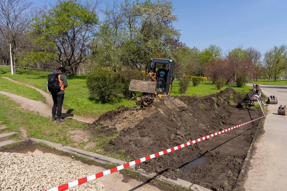 În Parcul Tineretului va fi amenajată prima grădină de ploaie din București. Ce este și cum va funcționa 1061075