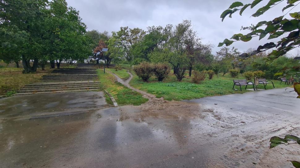 În Parcul Tineretului va fi amenajată prima grădină de ploaie din București. Ce este și cum va funcționa 1061077