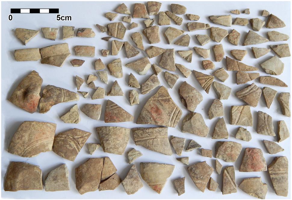 Descoperire arheologică rară, în România: O mega-structură de acum 6.000 de ani a fost dezgropată, în așezarea antică Stăuceni-Holm 1061409