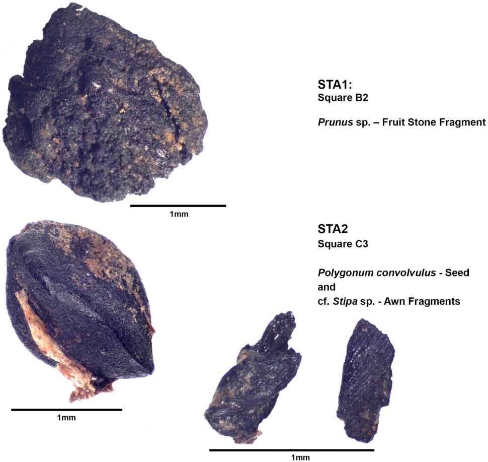 Descoperire arheologică rară, în România: O mega-structură de acum 6.000 de ani a fost dezgropată, în așezarea antică Stăuceni-Holm 1061412