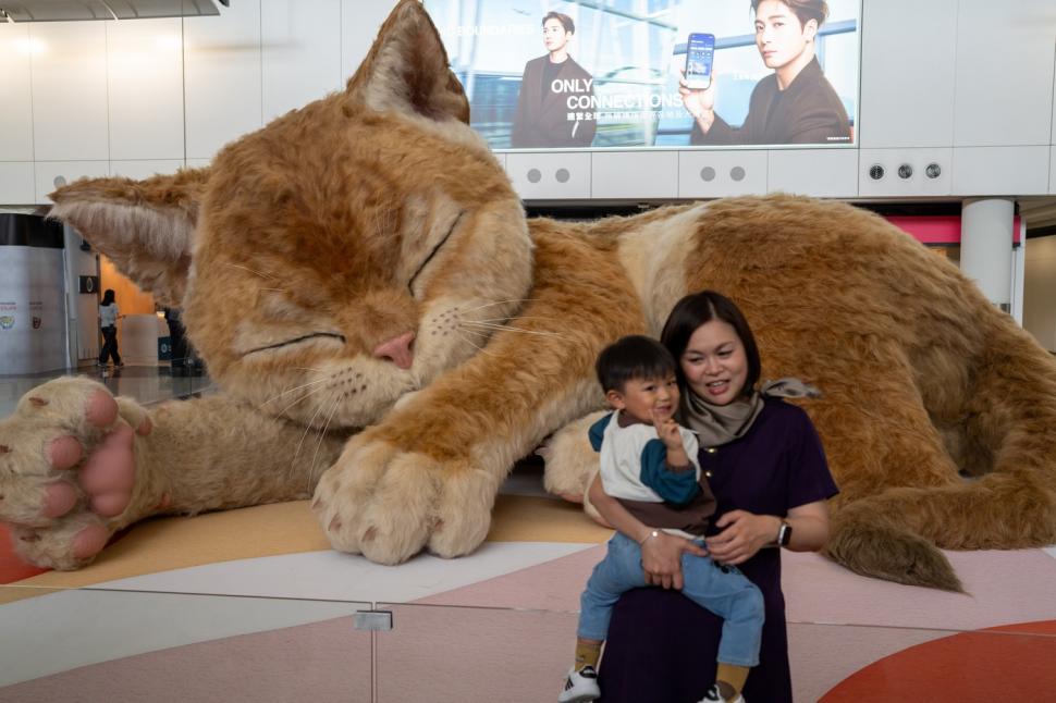 O pisică uriașă doarme în aeroportul din Hong Kong. Are 8 metri lungime, își mișcă coada și toarce, iar călătorii sunt cuceriți de ea 1061268