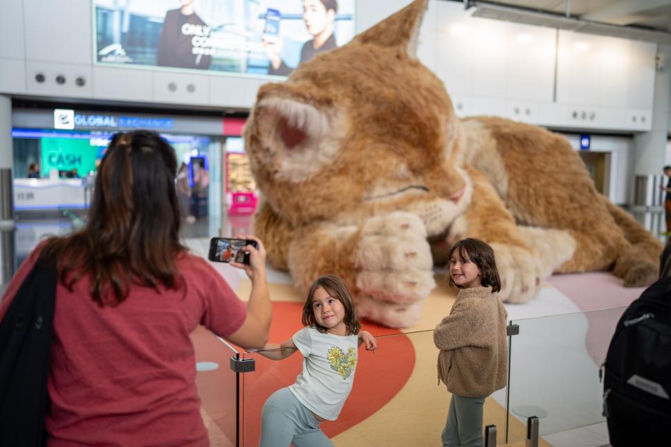 O pisică uriașă doarme în aeroportul din Hong Kong. Are 8 metri lungime, își mișcă coada și toarce, iar călătorii sunt cuceriți de ea 1061270
