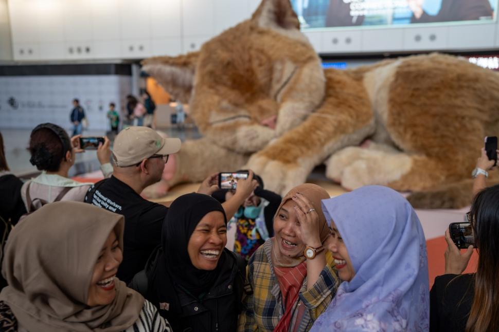 O pisică uriașă doarme în aeroportul din Hong Kong. Are 8 metri lungime, își mișcă coada și toarce, iar călătorii sunt cuceriți de ea 1061271