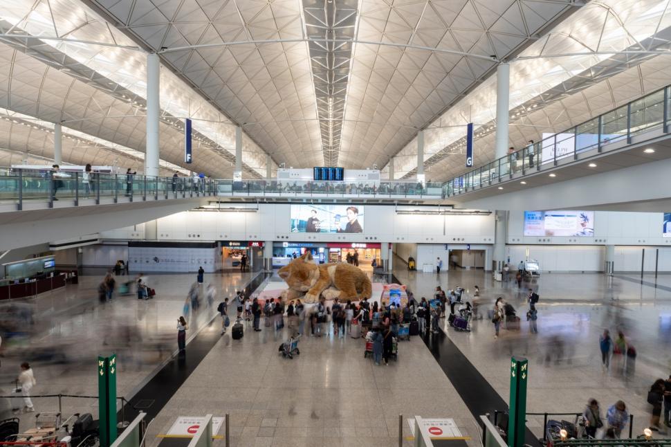 O pisică uriașă doarme în aeroportul din Hong Kong. Are 8 metri lungime, își mișcă coada și toarce, iar călătorii sunt cuceriți de ea 1061272
