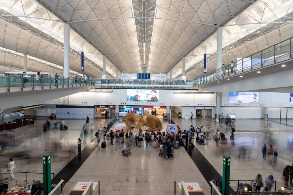 O pisică uriașă doarme în aeroportul din Hong Kong. Are 8 metri lungime, își mișcă coada și toarce, iar călătorii sunt cuceriți de ea 1061276