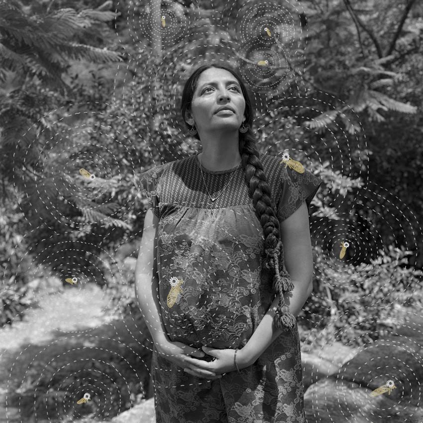 Cele mai spectaculoase imagini de la premiile Sony World Photography Awards 2026. Oameni, animale, povești și peisaje amețitoare 1061598