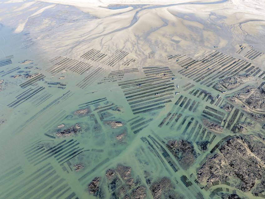 Cele mai spectaculoase imagini de la premiile Sony World Photography Awards 2026. Oameni, animale, povești și peisaje amețitoare 1061611