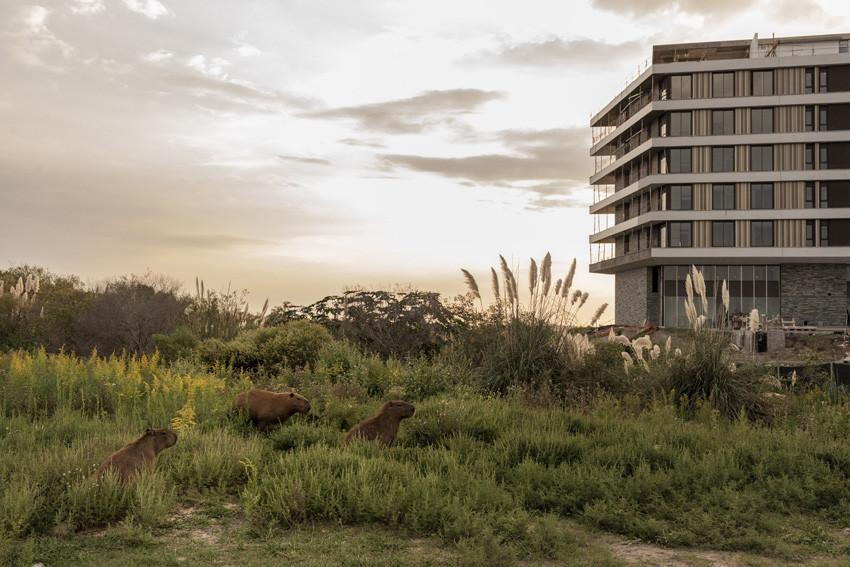 Cele mai spectaculoase imagini de la premiile Sony World Photography Awards 2026. Oameni, animale, povești și peisaje amețitoare 1061613