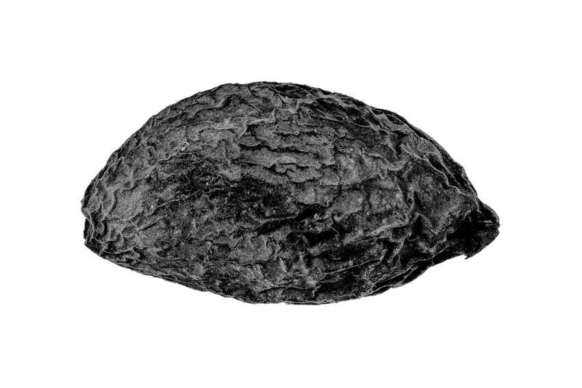 Cele mai spectaculoase imagini de la premiile Sony World Photography Awards 2026. Oameni, animale, povești și peisaje amețitoare 1061623