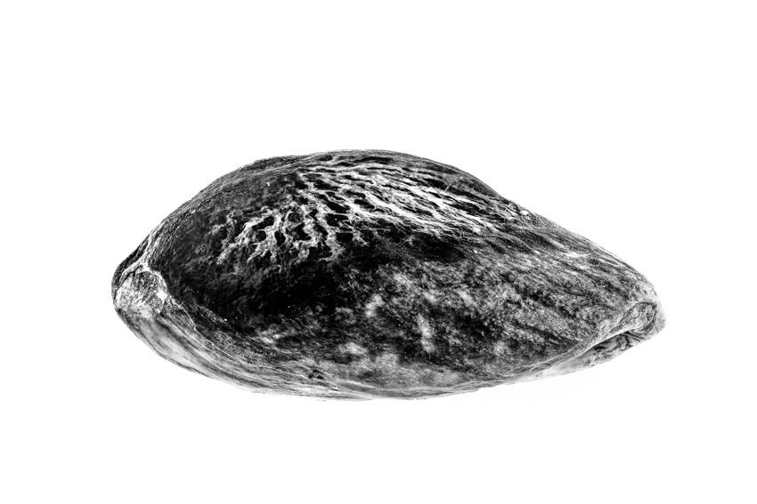 Cele mai spectaculoase imagini de la premiile Sony World Photography Awards 2026. Oameni, animale, povești și peisaje amețitoare 1061624